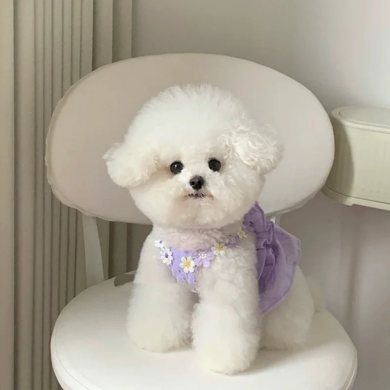 Verano Ins falda con tirantes de flores bordado Jacquard verano dulce falda al aire libre vestido con tirantes para mascotas chaleco vestidos para perros pequeños - imagen 4