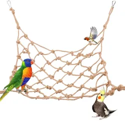 Columpio para loro con hamaca y rampa – Juguete interactivo