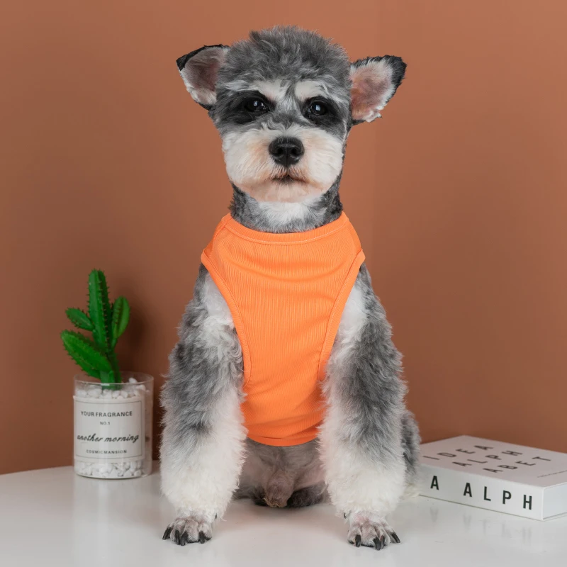 Camiseta transpirable para perros Primavera Verano Schnauzer Teddy Dog Colling chaleco cachorro protector solar camisetas verano pequeños medios ropa para perros - imagen 3