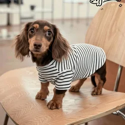 Camiseta de algodón a rayas para perros Dachshund, verano y primavera