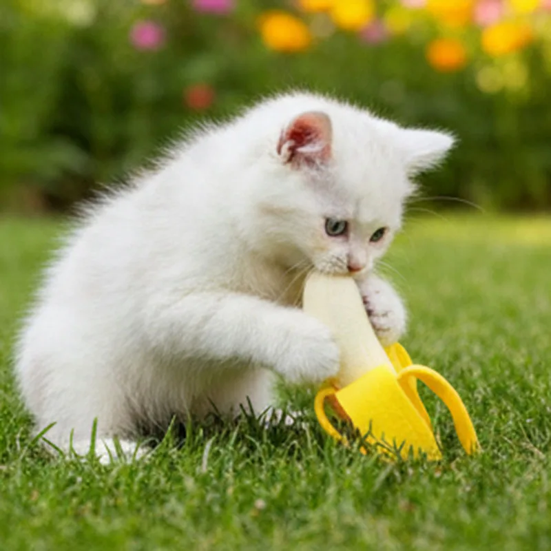 Juguete plátano masticable perros y gatos – Duradero para dentición - imagen 4