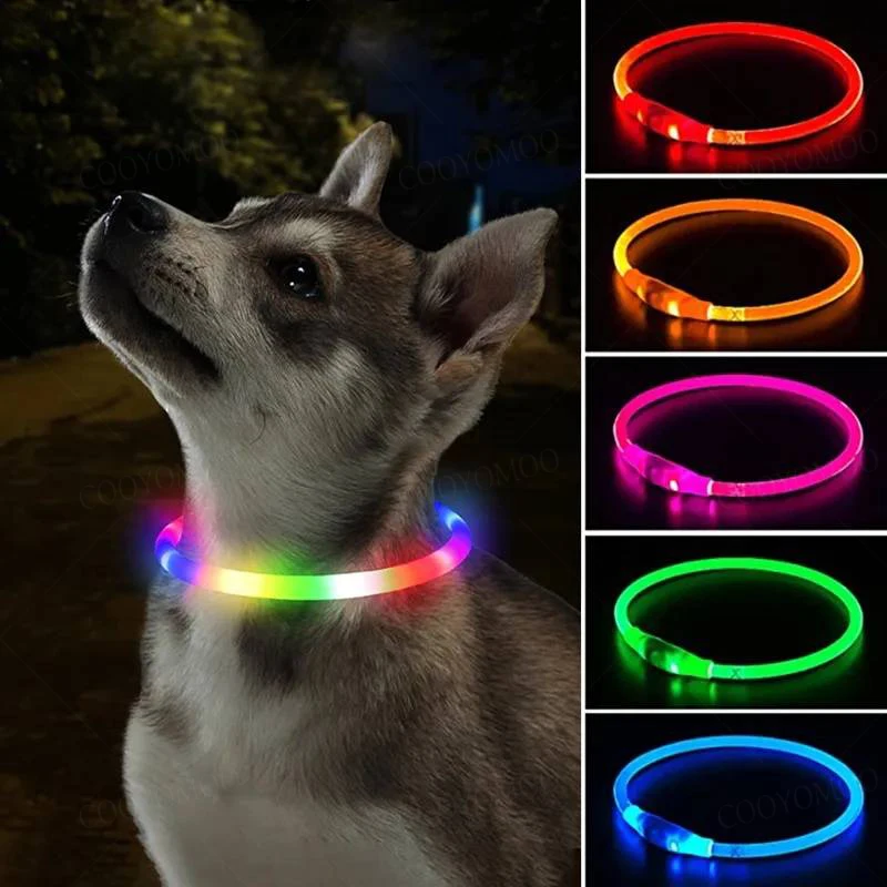 Collar de carga Luminou para perro, 4 modos, Led Usb, Collar colorido de silicona para gato, brillo nocturno desmontable, prevención de pérdida de mascotas, accesorios para perros