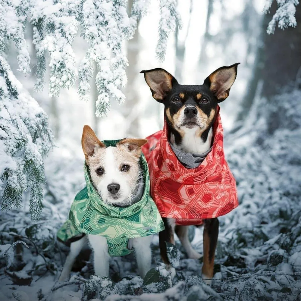 Ropa de invierno para mascotas, tallas medianas y grandes, impermeable, ultraligera, resistente al desgaste, traje de esquí, hermosos productos cálidos para mascotas - imagen 5
