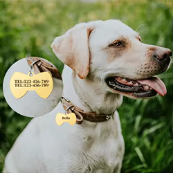 Etiquetas personalizadas grabadas para perros y gatos con nombre y número de teléfono, colgante para mascotas en forma de pajarita para identificación personalizada de mascotas