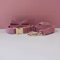 Bow Collar Leash Set