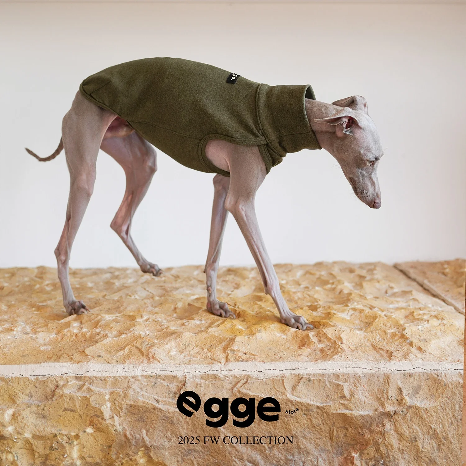 Chaleco forro polar sin mangas para perros Whippet – Pijama suave