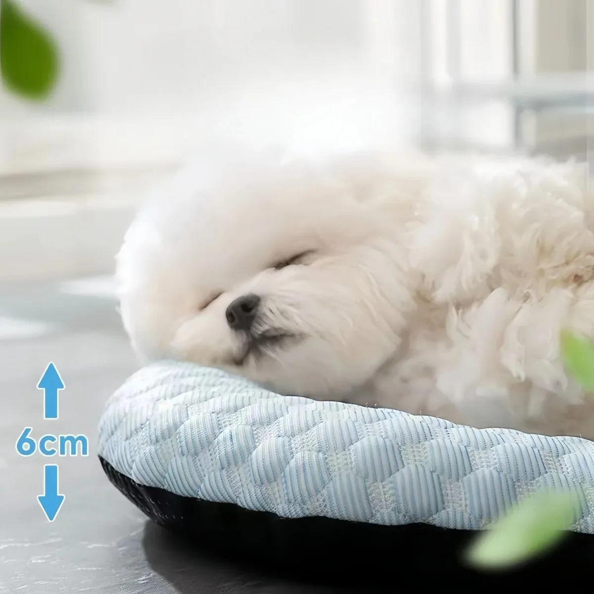 Estera refrescante, accesorios para perros, perrera de verano, sofá, cama para bebé, camas para mascotas, productos para perros pequeños, accesorios de cojín, casa para interiores - imagen 2