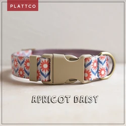 Juego de collar y correa para perro hecho a mano hebilla plástico