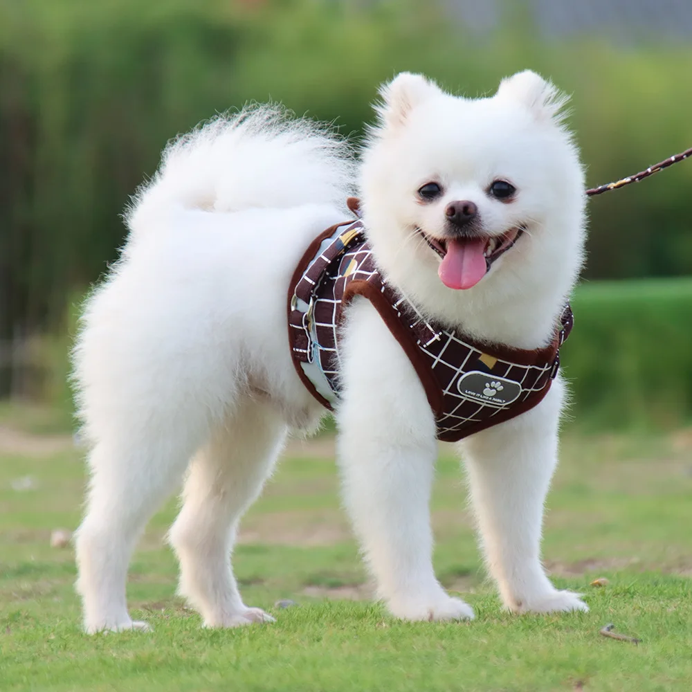 Suministros para perros Correa reflectante de seguridad para perro, transpirable y cómoda, sin pelo, no se cae fácilmente - imagen 5
