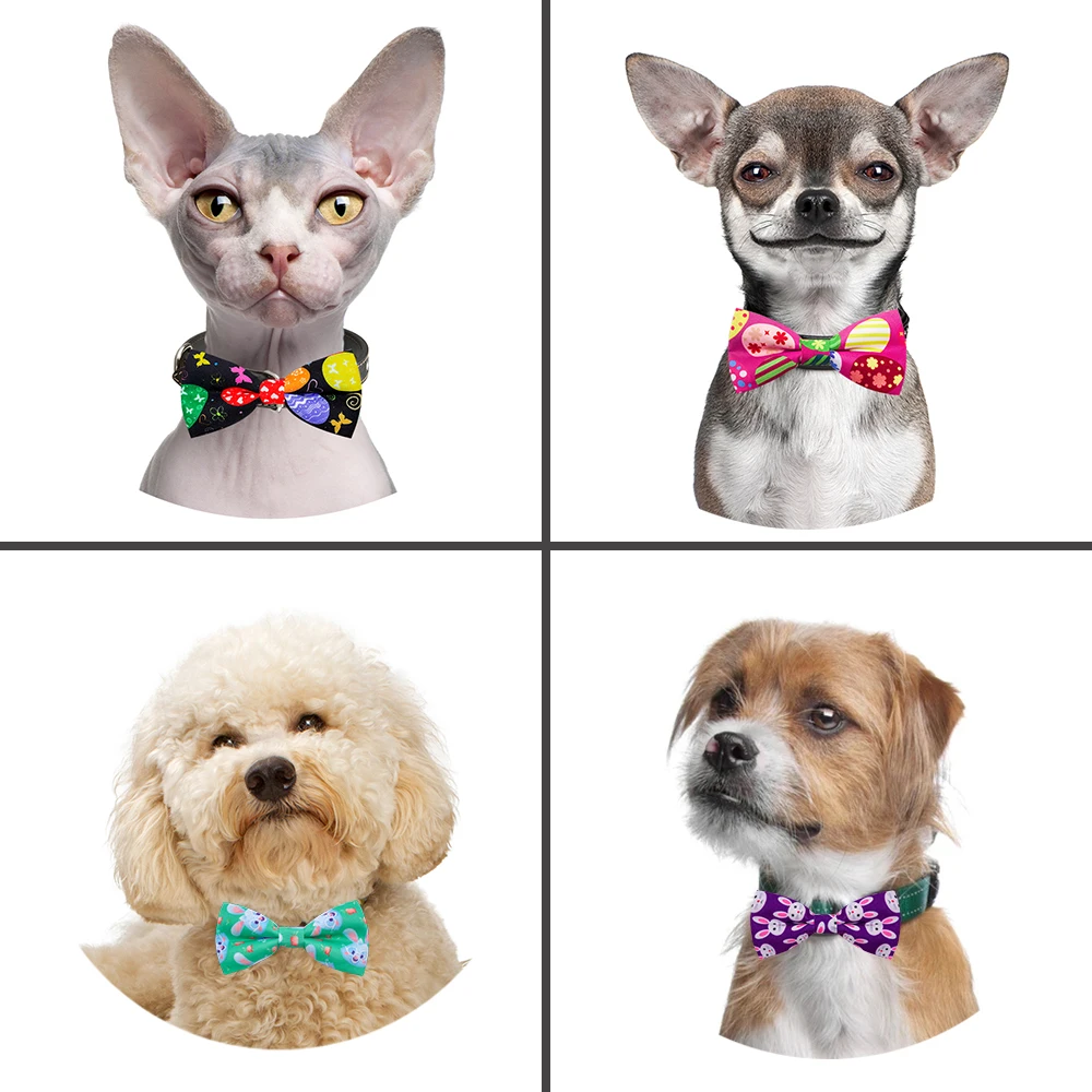 Pajaritas perro elegante