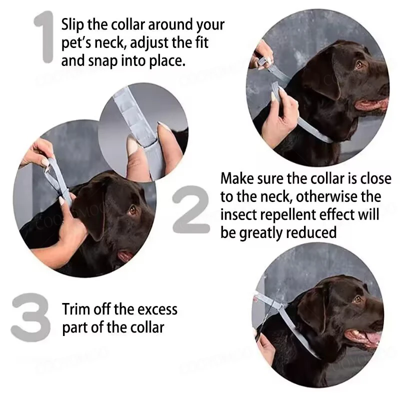 Collar de feromonas calmantes para perros y gatos – ajustable, cómodo