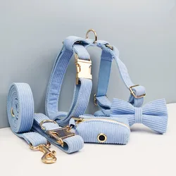 Collar y correa de pana azul para perro con placa grabada