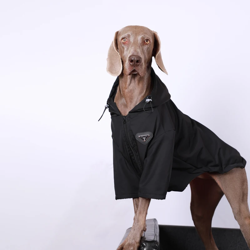 Abrigo con capucha de perro de lujo, chaqueta impermeable de intercambio para perros grandes, disfraz de perros grandes, diseño de moda, suministros de trajes de Golden Retriever - imagen 4