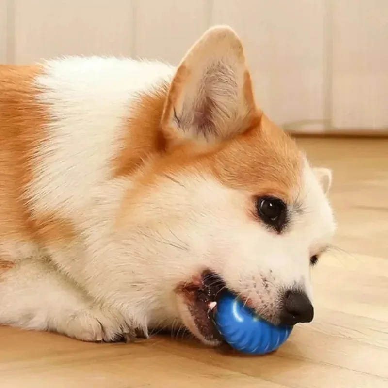 Pelota interactiva recargable movimiento automático rebote para perros - imagen 3