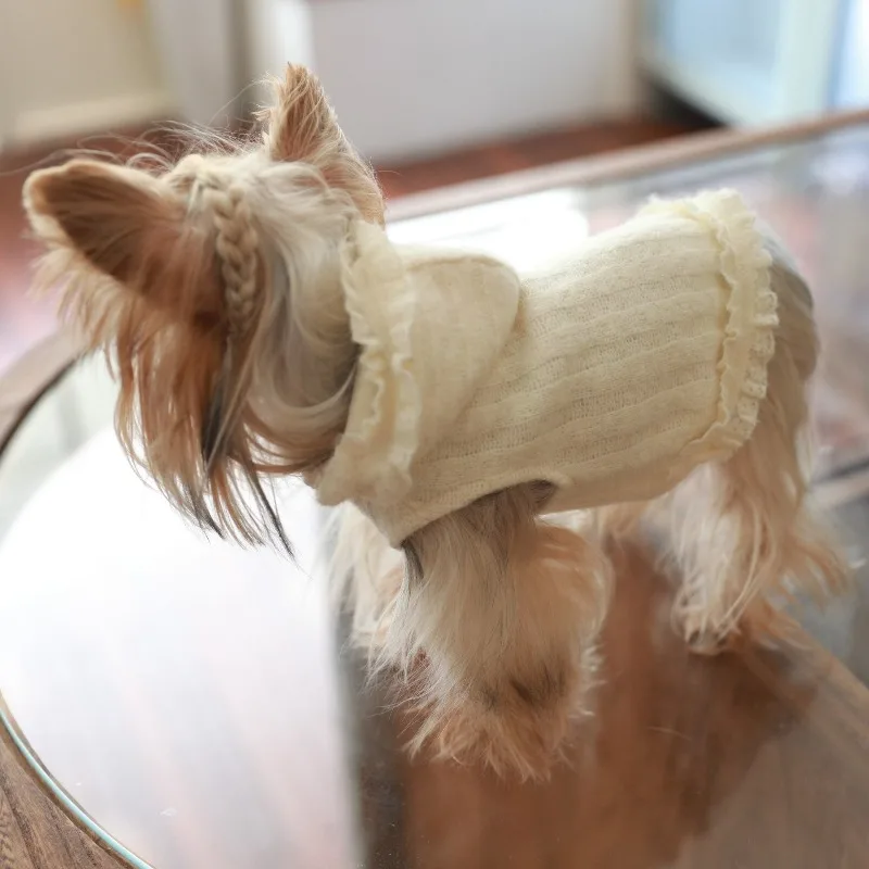 Ropa de lujo para perros, ropa para perros de otoño e invierno, cosas para perros pequeños, accesorios de disfraz, cachorros, gatitos, gatos, mascotas, suministros con capucha - imagen 5