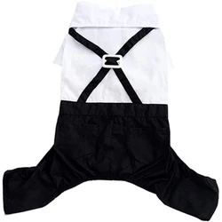 Esmoquin con pajarita para perros pequeños – Blanco y negro