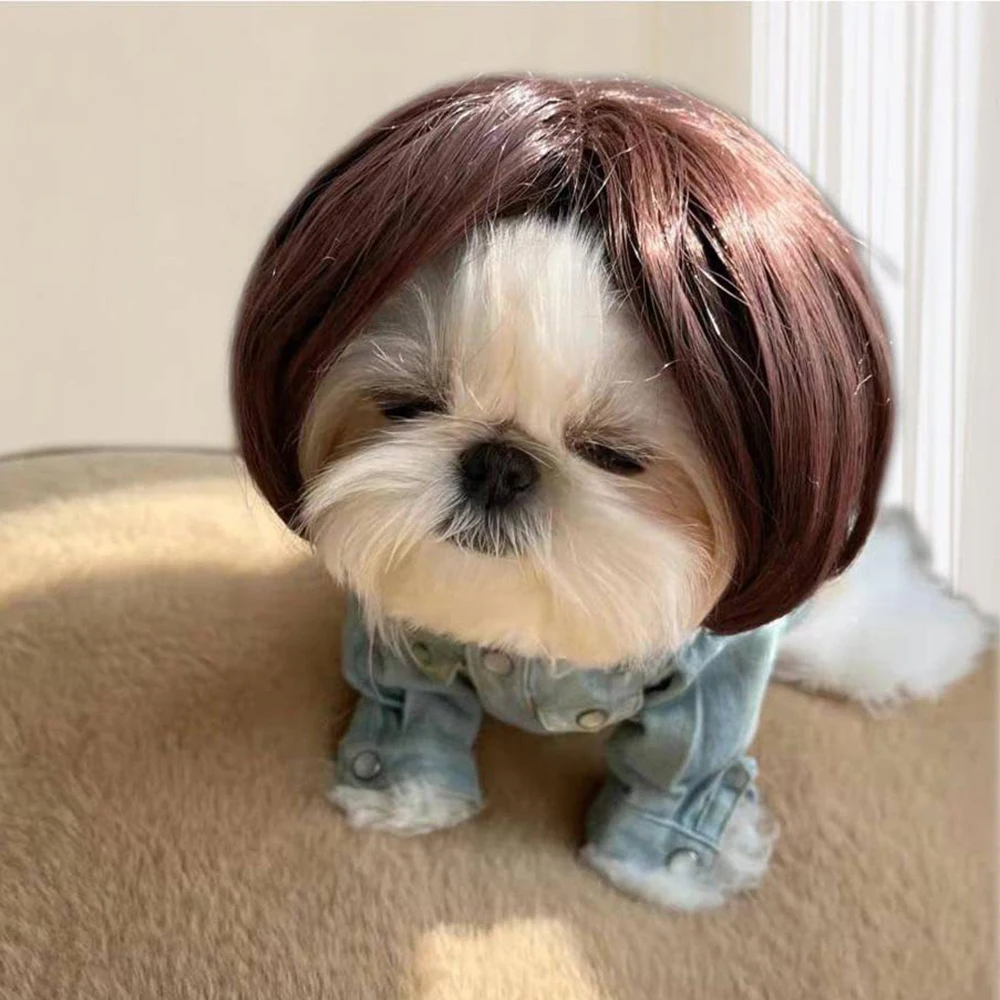 Divertido sombrero de peluca para mascotas para perros pequeños, gatos, Bulldog Francés, Chihuahua, accesorios para el cabello para cachorros, suministros para mascotas, accesorios para perros - imagen 2