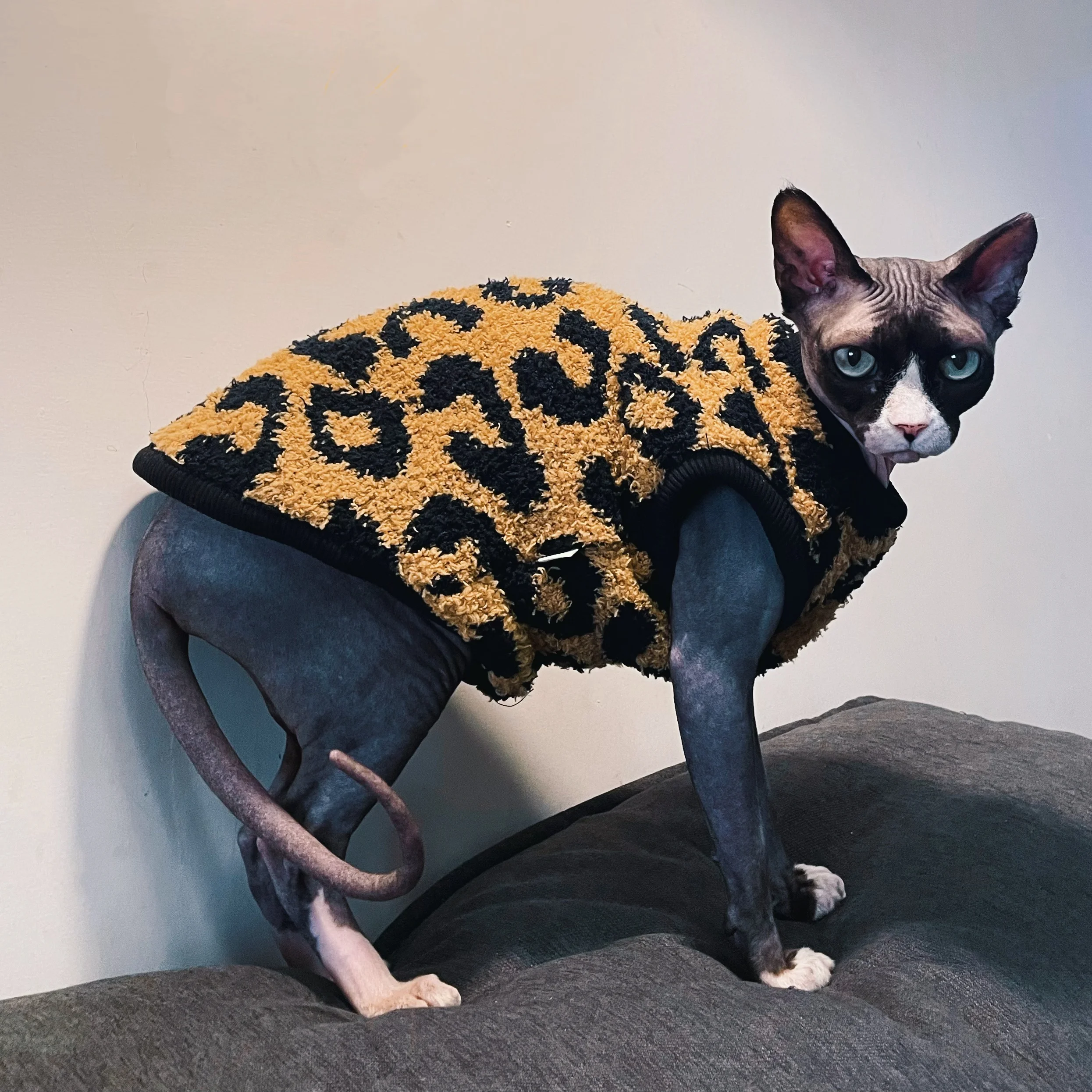 Brwon-abrigo polar de leopardo para gato sin pelo, chaleco de manga corta suave y cálido para invierno, suéter de Color oscuro Devon Rex para gato Sphynx - imagen 2