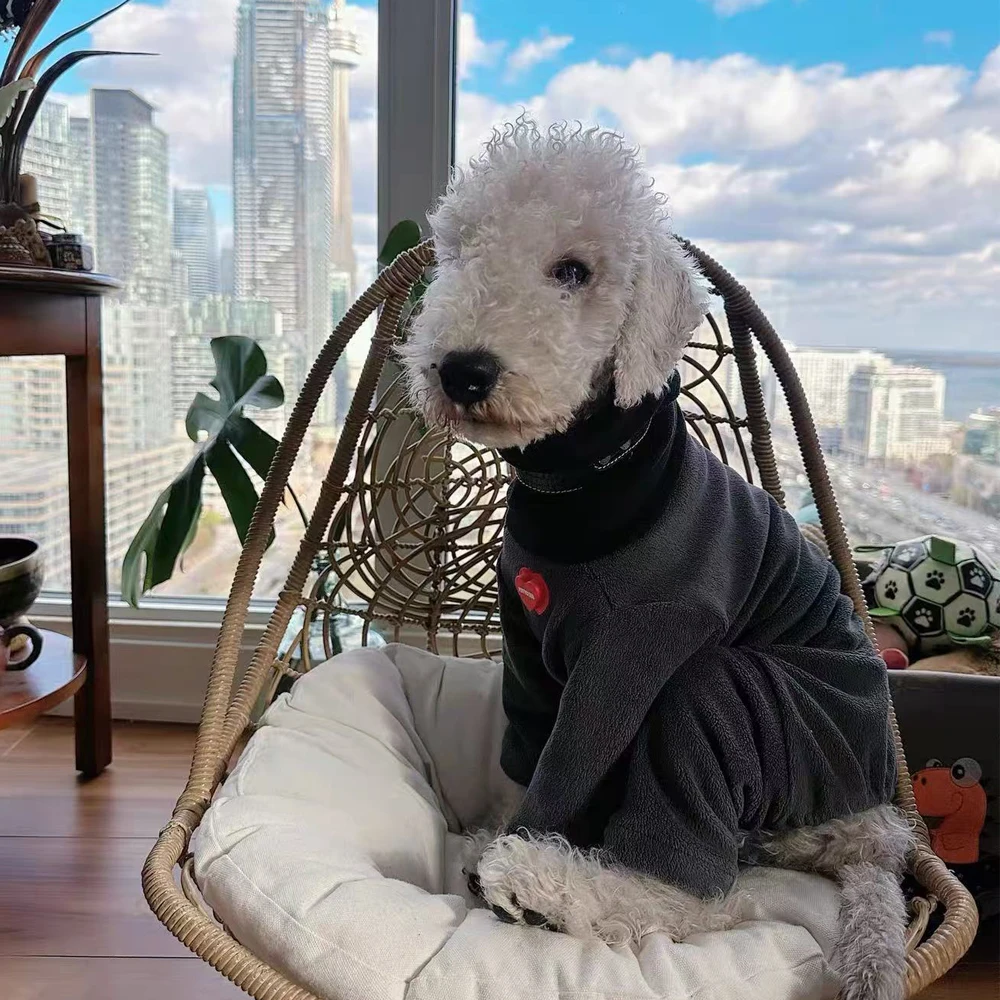 Sudadera de lana para perros medianos con cuello alto contrastante - imagen 4
