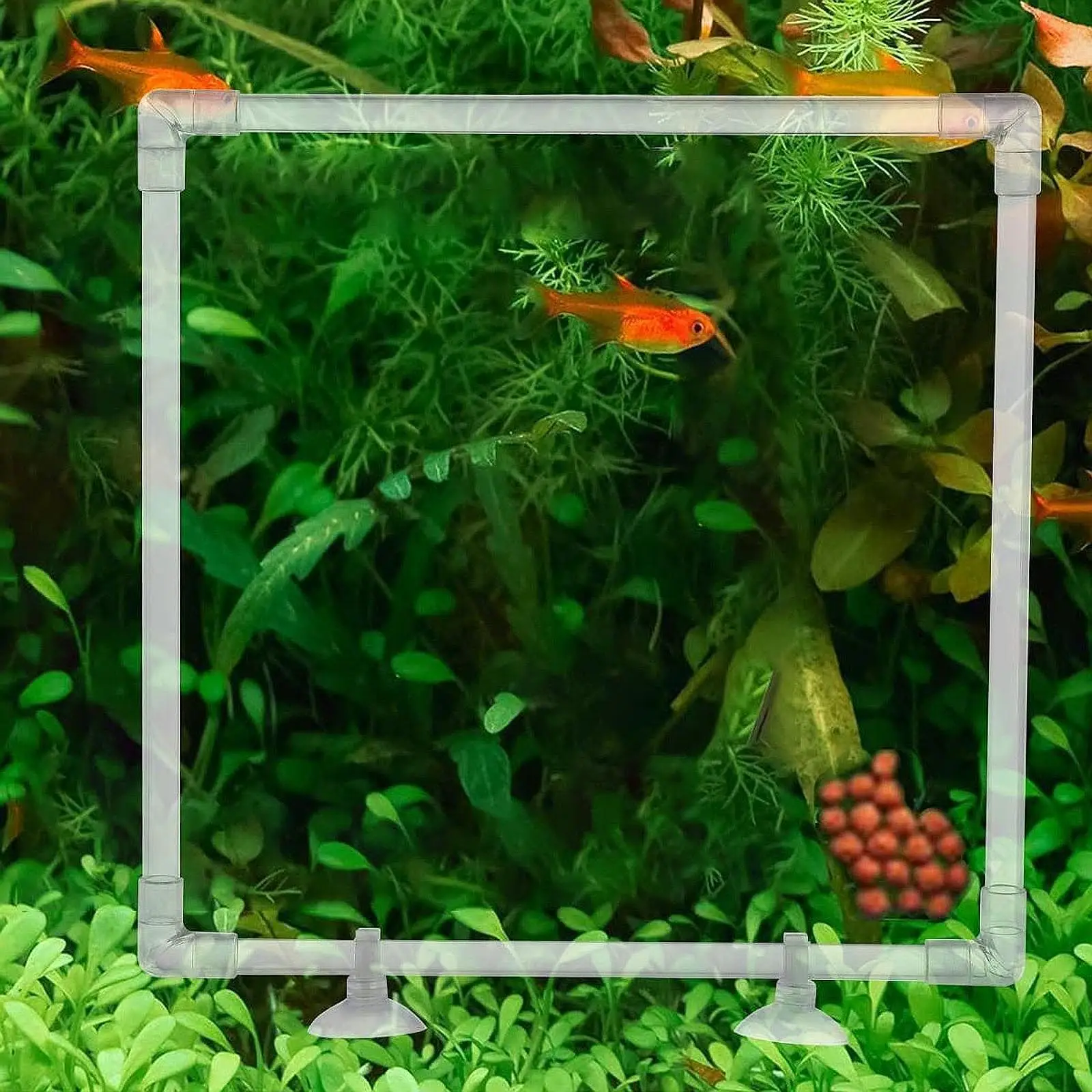 Aquarium Floating Plant Barrier Corral Fish Tank Clear Acrylic Patio Floating Plant Fence Pond Accessories Yard Easy to Install