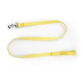 Leash Yellow