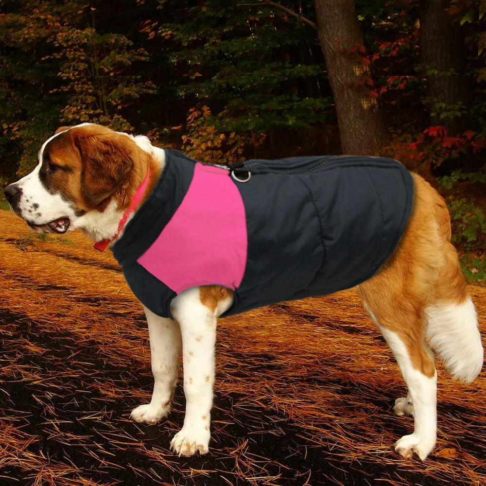 Ropa invierno perros grandes medianos azul rosa