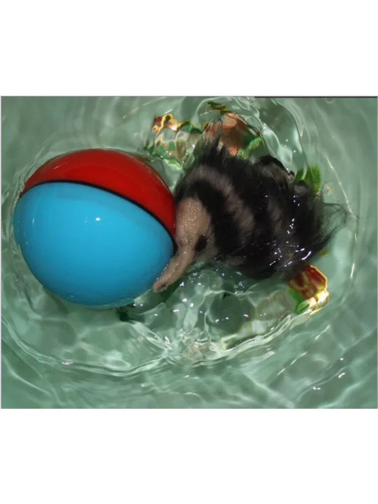 1 unidad de juguetes para gatos, castor, comadreja, Motor rodante, pelota de juguete para mascotas, gato, perro, pelota eléctrica para gatos, diversión, cazador móvil, Color aleatorio - imagen 4