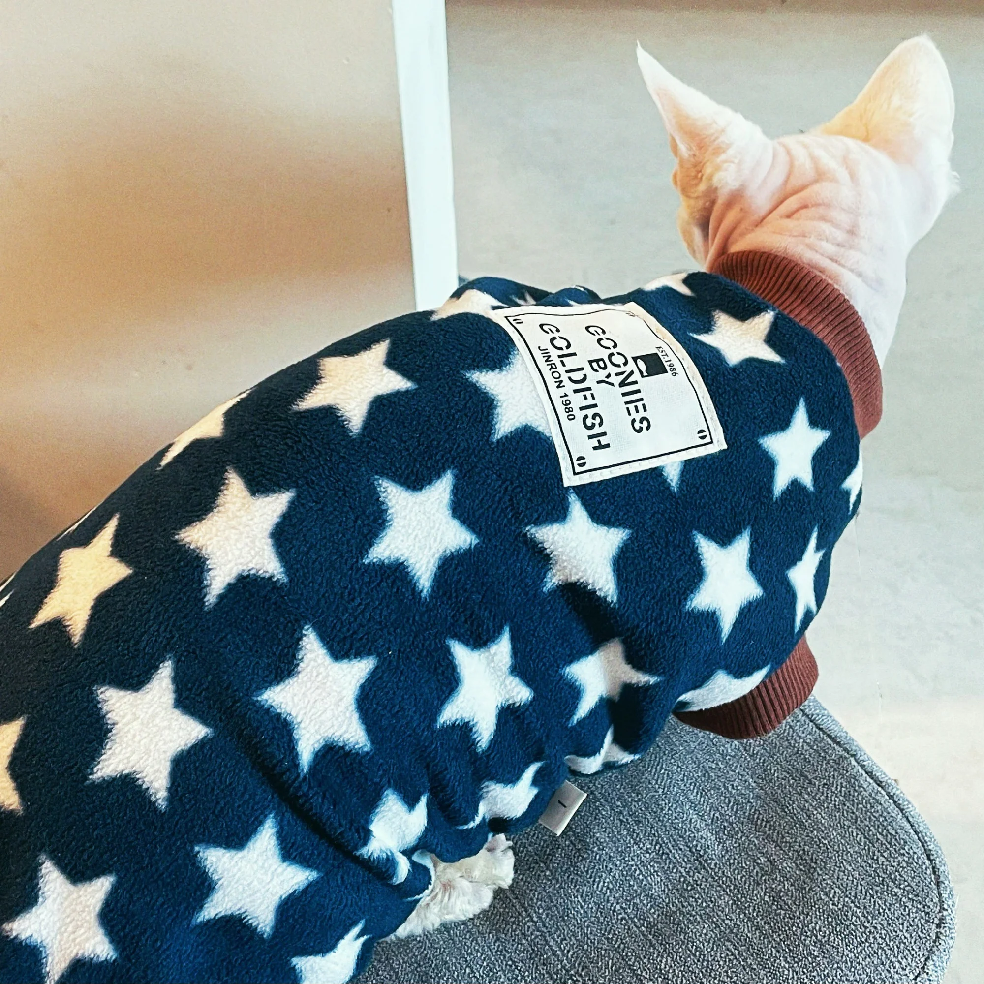 Sudadera de lana para gatos Sphynx y Devon Rex con estrellas - imagen 4