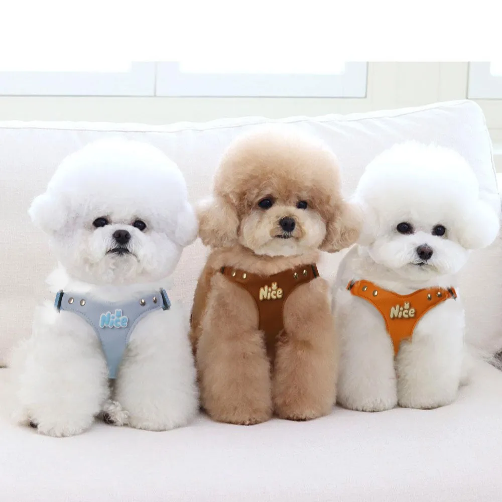 Juego de correa de arnés de tracción para perros de cuero Pu para perros pequeños, perfecto para peluche, caminar y entrenar al aire libre - imagen 2