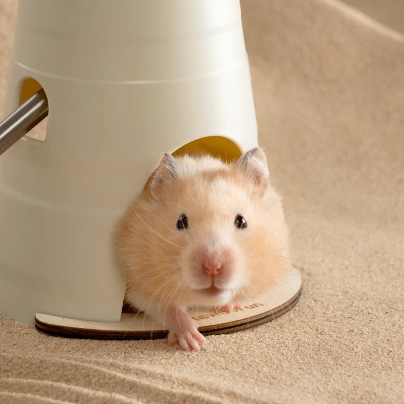Dispensador automático de agua para hámster, botella a prueba de fugas, diseño de doble bola, hervidor de alimentación, suministros para mascotas, animales pequeños, 150ml - imagen 4