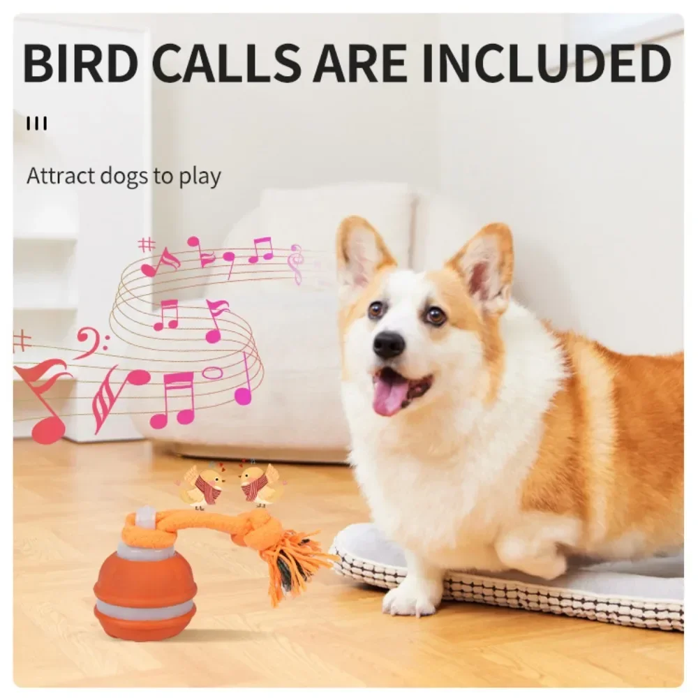 Pelota interactiva con movimiento para perros, recargable USB - imagen 3