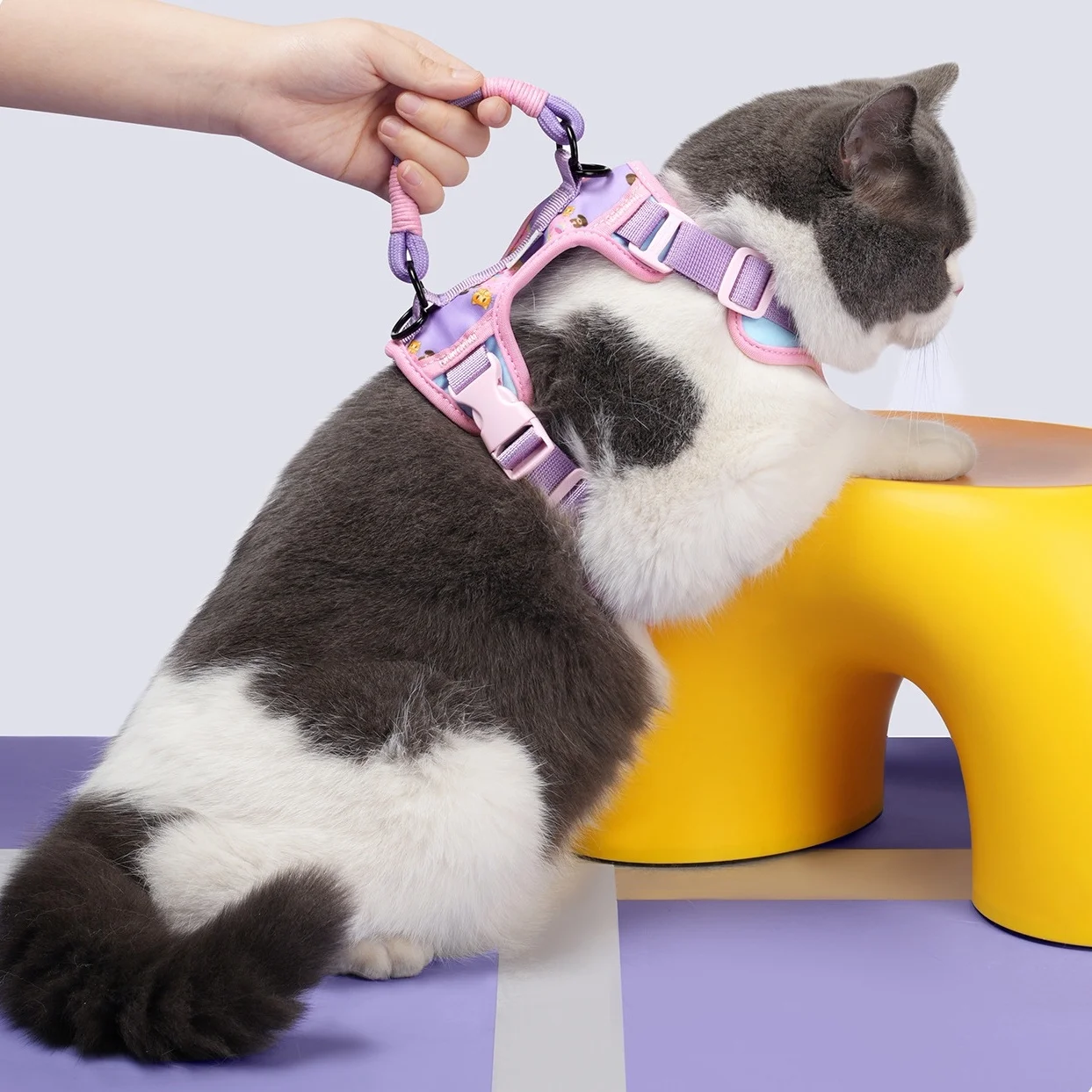 Conjunto de correa de arnés para mascotas para gatos y perros pequeños, correa de entrenamiento ajustable para perros con mango de cuentas, arnés de chaleco ligero para mascotas - imagen 5