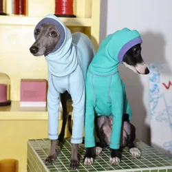 Sudadera verde menta cuello alto manga larga suave para galgo italiano