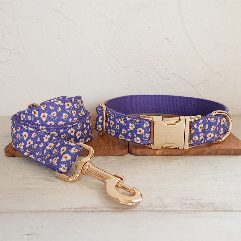 Dog Collar Leash Set