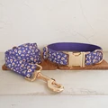 Dog Collar Leash Set