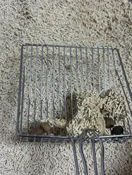 Imagen de reseña 2