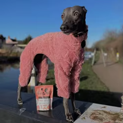 Abrigo invierno grueso cuello alto para galgos y whippet – Forro polar