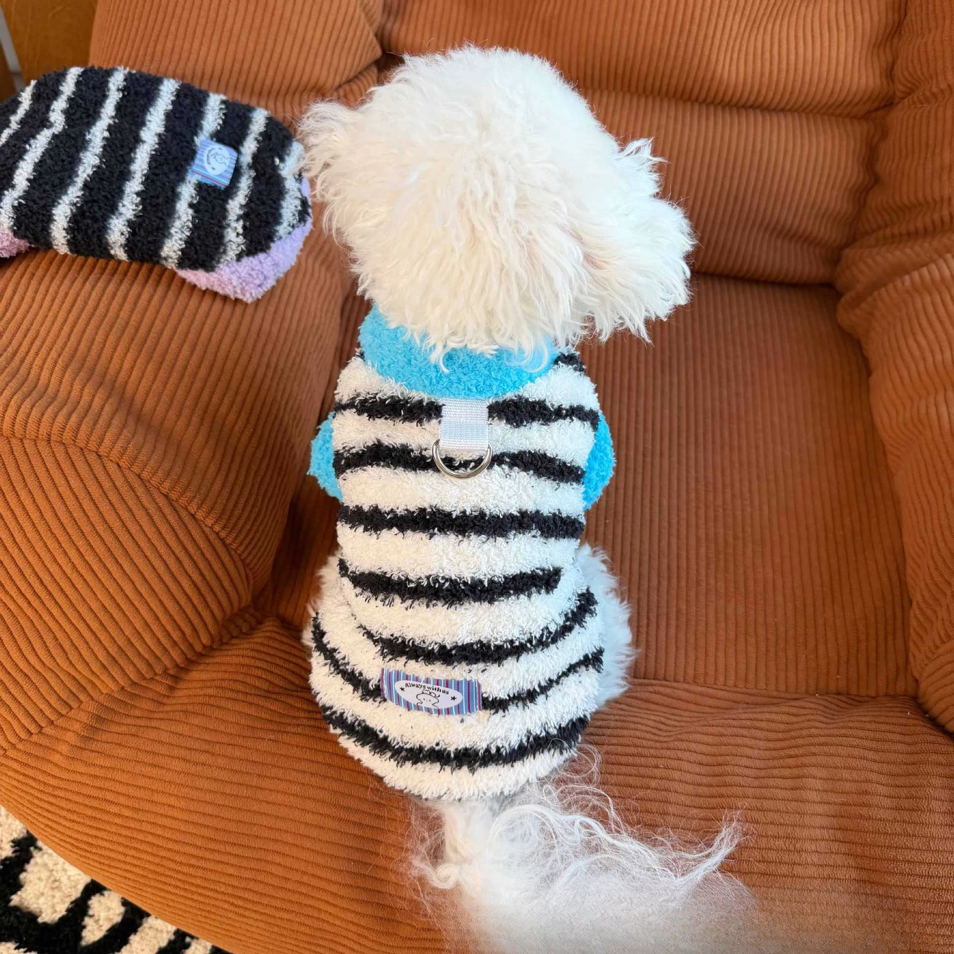 Abrigo de Terciopelo Grueso para Gatos y Perros - Ropa de Invierno - imagen 4