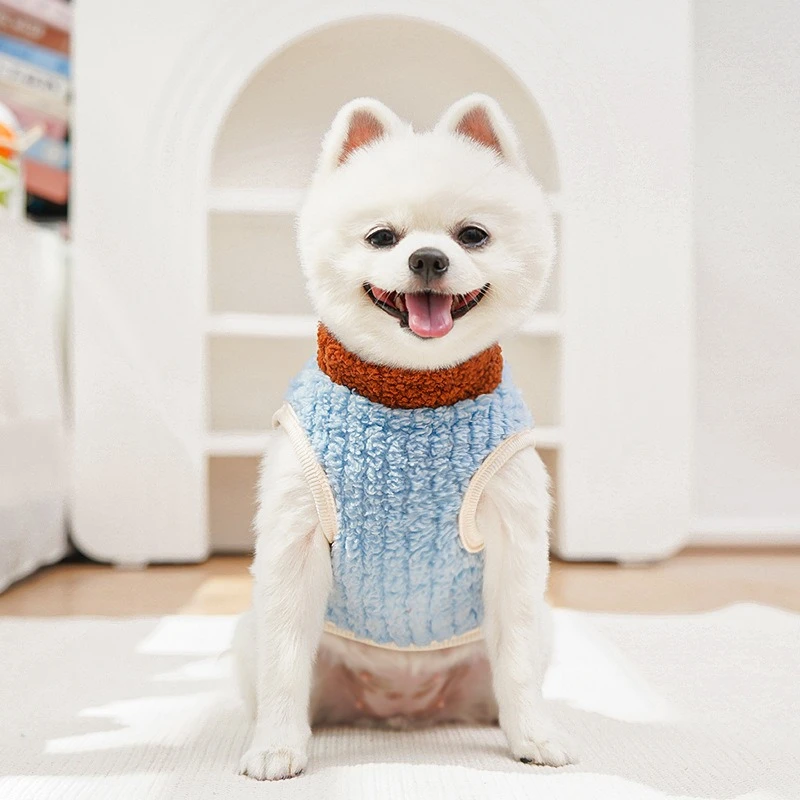 Ropa de invierno para perros diseño león Mic Cat