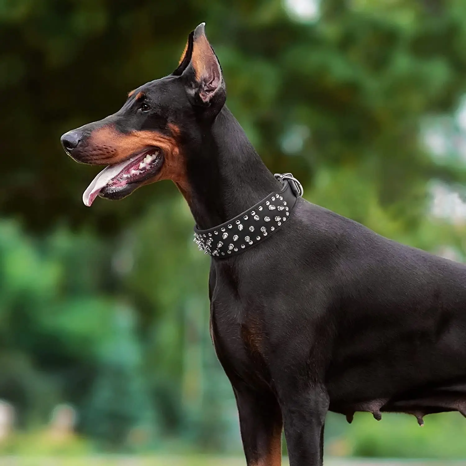 Collar con pinchos para perro – Cuero resistente y duradero - imagen 3