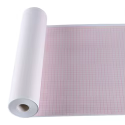 Rollo de papel térmico registro para ECG veterinario gatos y perros