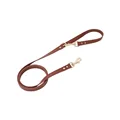 brown leash