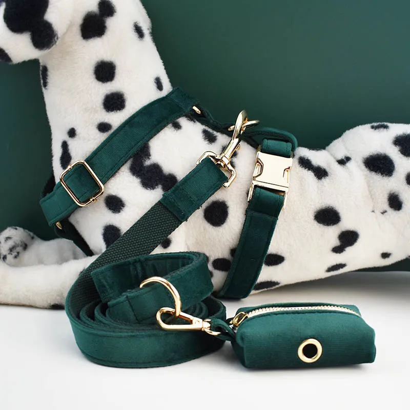 Juego de arnés y collar para perro personalizado con correa, nombre grabado personalizado, soporte para bolsa para caca de perros pequeños a medianos incluido - imagen 4