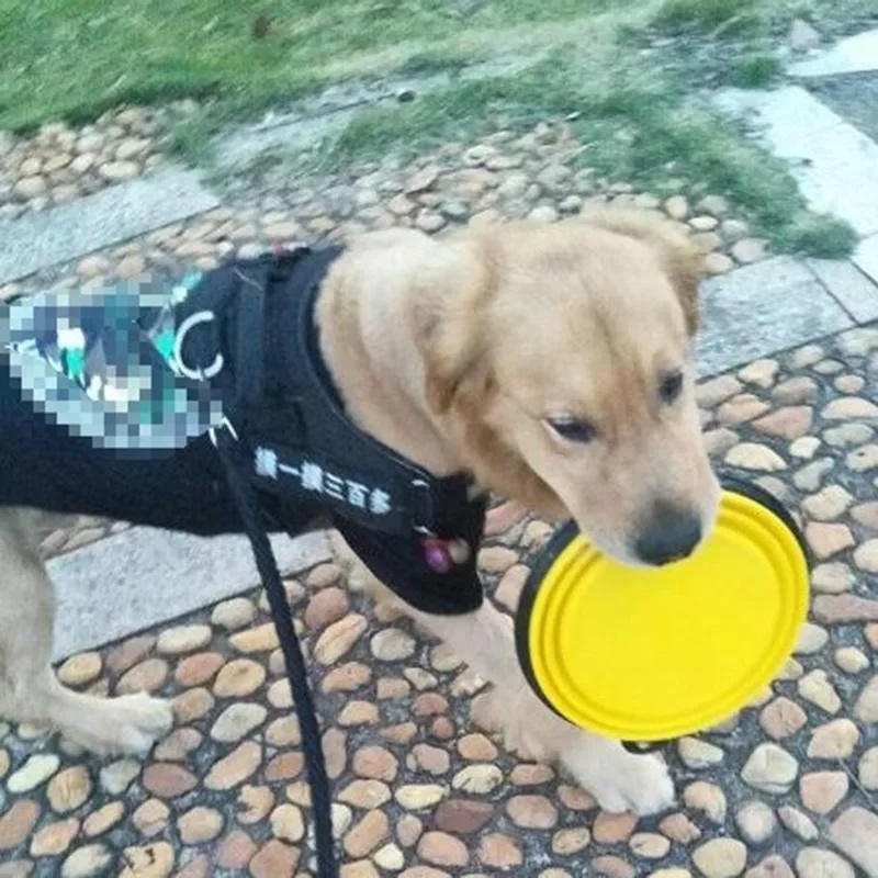 Cuenco plegable para perros, cuencos de viaje plegables de silicona para mascotas, alimentación de agua y alimentos, plato de taza plegable sin BPA con mosquetón - imagen 5