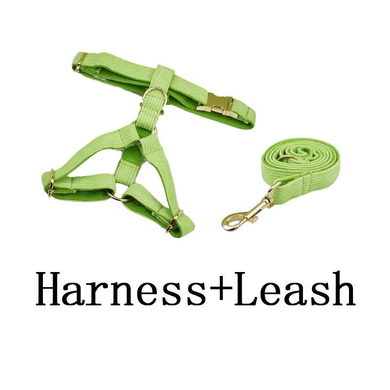 harness leash