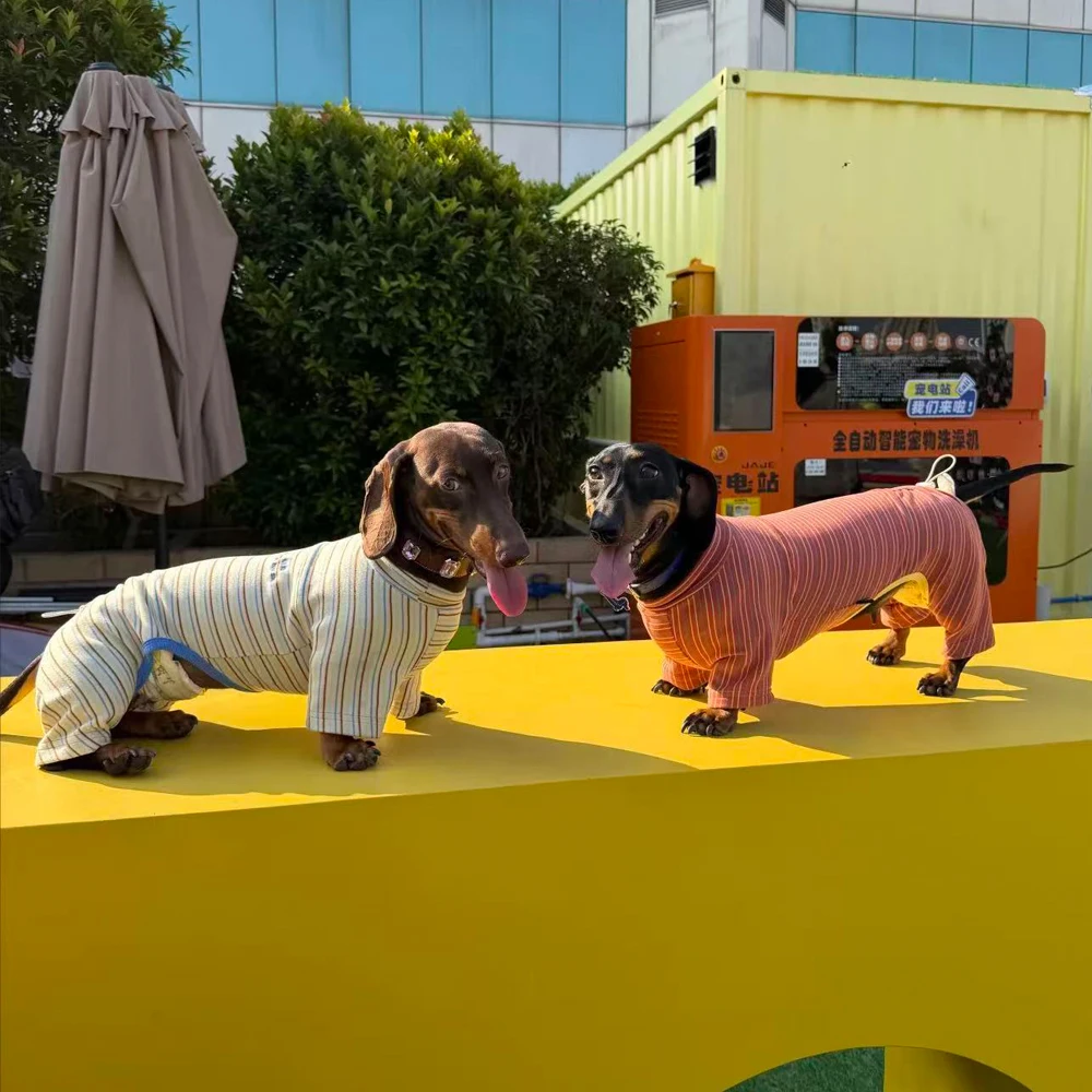 Jersey elástico para Dachshund – Abrigo a rayas rojas para perro salchicha - imagen 4