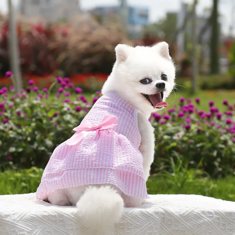 Falda a cuadros para perro y gato, vestido con lazo para cachorro y gatito, ropa a rayas para mascotas, vestidos para perros de oso de peluche Bichón - imagen 4