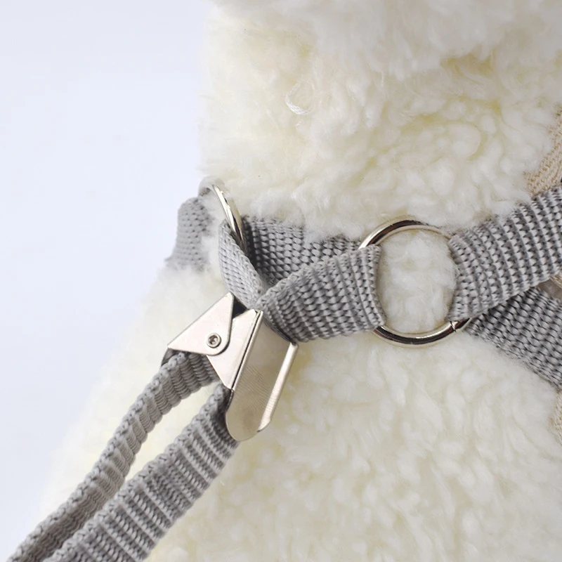 Conductor mascotas pequeñas - Control seguro