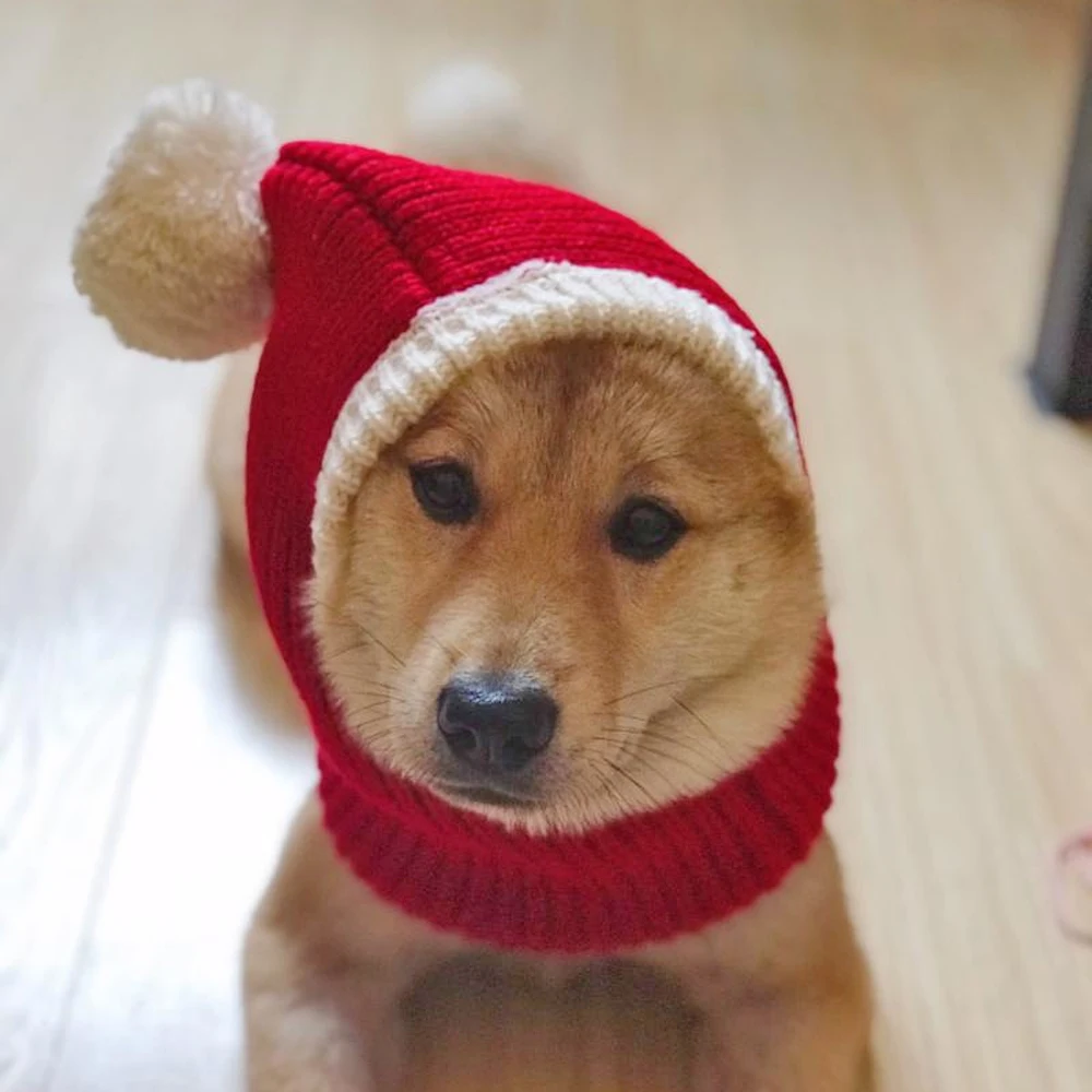 Gorro navideño bonito para perro, gorro tejido con protección contra el ruido para perro, gorro cálido de invierno, gorro de punto elástico suave para perros y gatos, regalo de Navidad, 1 ud. - imagen 5