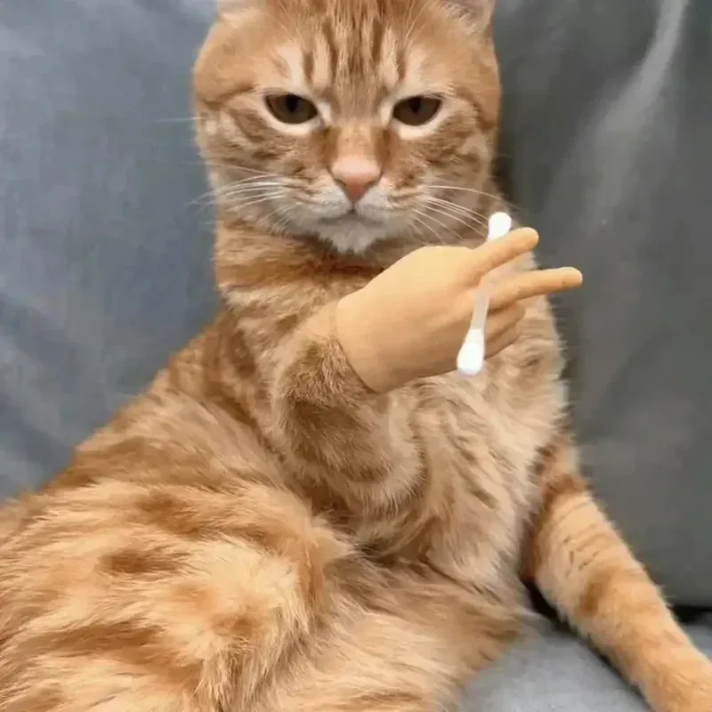 Divertidos juguetes interactivos para dedos de gato, guantes de mano falsos suaves TPR para burlas, Mini manos creativas para entretenimiento de gatos, novedad - imagen 5